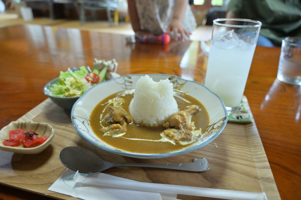 そらまめの家のチキンカレー