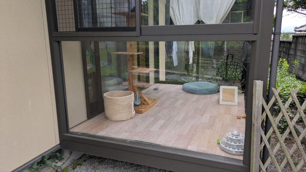 そらまめの家の猫サンルーム