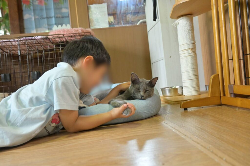 そらまめの家のふれあいスペース２と子どもとふれあい猫