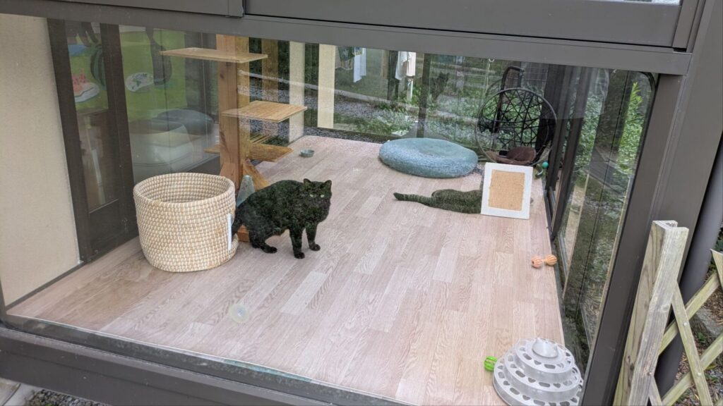 そらまめの家のサンルーム