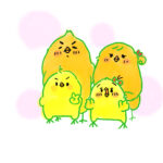ひよこファミリープロフィール用