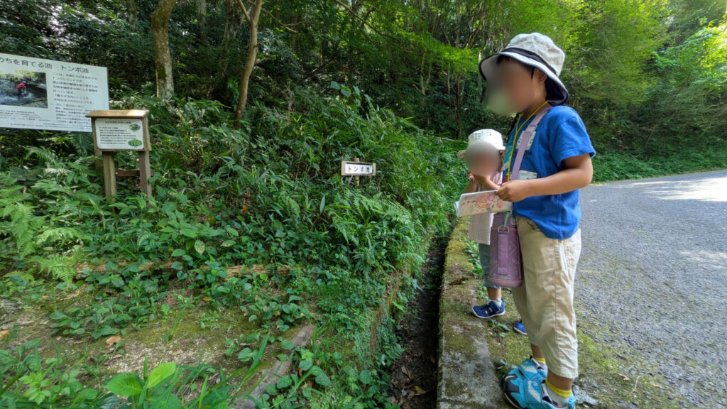 トンボ池とこども