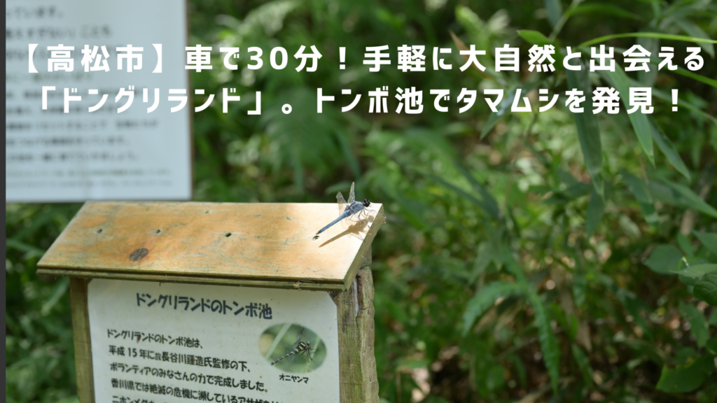 ドングリランドアイキャッチ