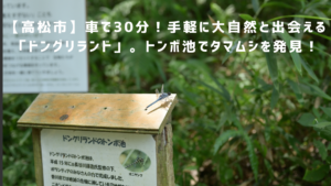ドングリランドアイキャッチ