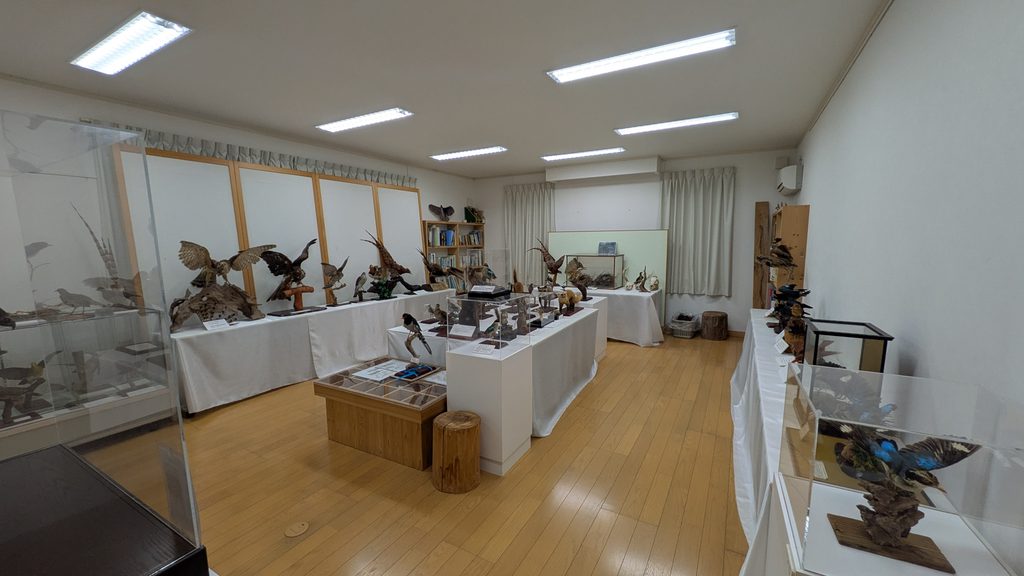 ヤイロ鳥ネイチャーセンター館内