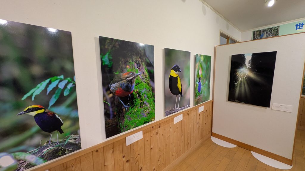 ヤイロ鳥ネイチャーセンター館内