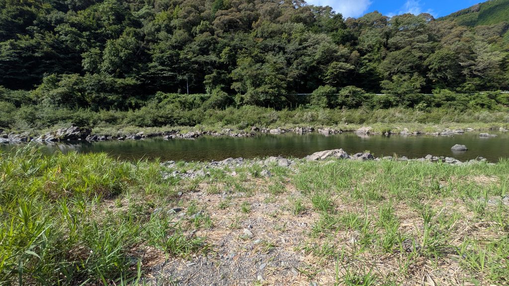 ウェル花夢付近の川