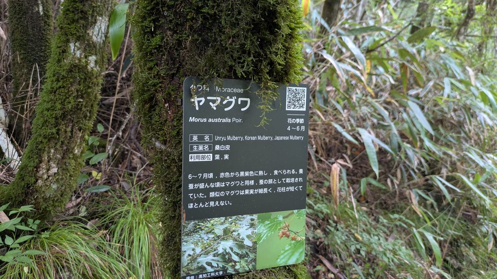天狗高原セラピーロードの案内板