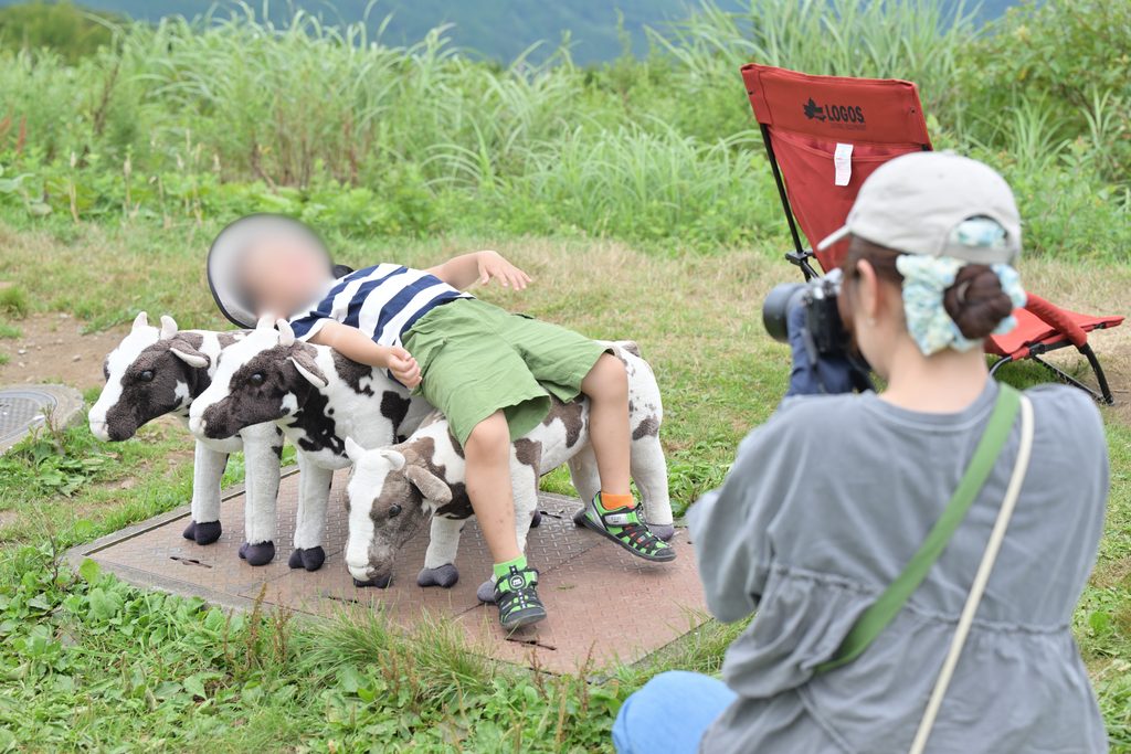 四国カルスト珈琲もふもふ牛と子ども